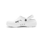 nordig white1