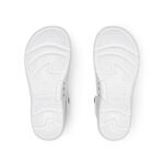 nordig white1